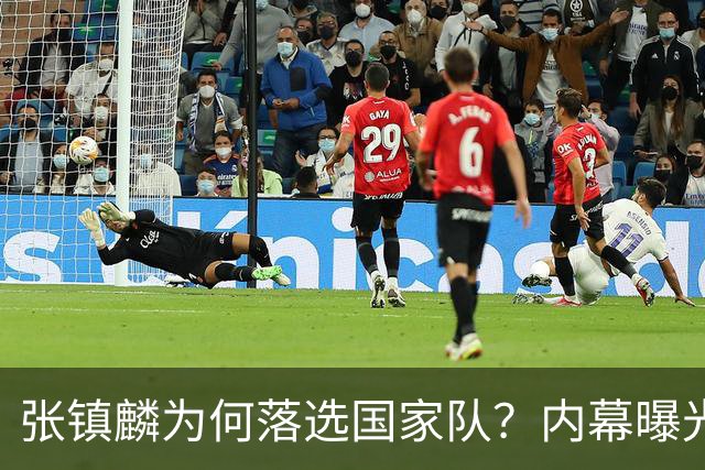 张镇麟为何落选国家队？内幕曝光，叫人心疼，郭士强并没放弃他